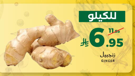 Ginger available at ميرا مارت مول in مملكة العربية السعودية, السعودية, سعودية - جدة