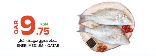 available at البلدي اليوم in قطر - الخور