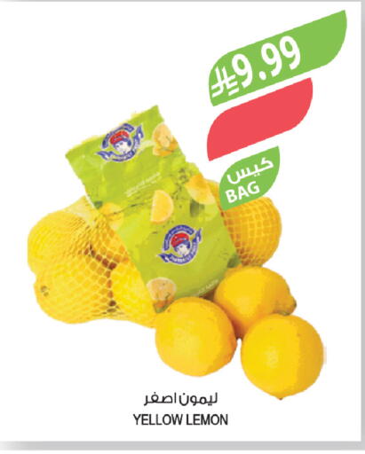 Lemon available at Farm  in KSA, Saudi Arabia, Saudi - Abha
