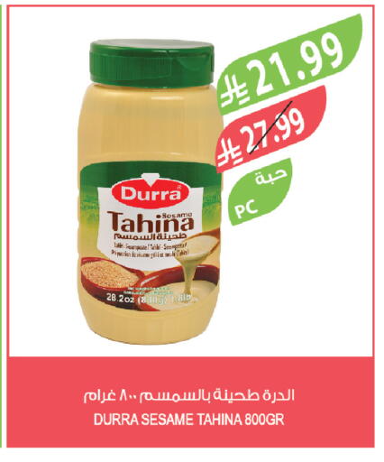Sesame available at Farm  in KSA, Saudi Arabia, Saudi - Jazan