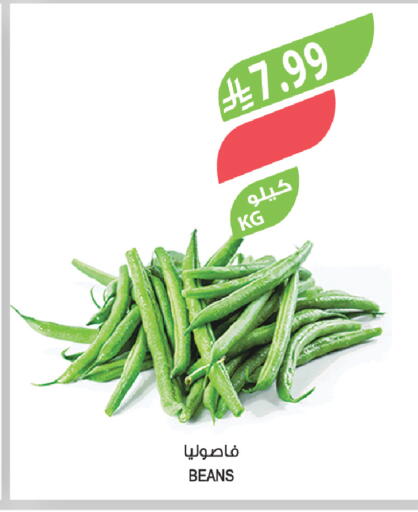 available at المزرعة in مملكة العربية السعودية, السعودية, سعودية - أبها
