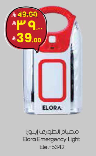 available at City Flower in KSA, Saudi Arabia, Saudi - Sakaka