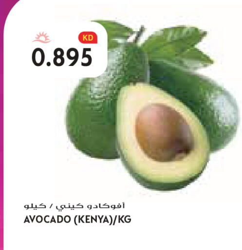 Avocado from Kenya available at Grand Costo in Kuwait - Kuwait City
