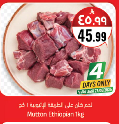 available at City Flower in KSA, Saudi Arabia, Saudi - Jubail