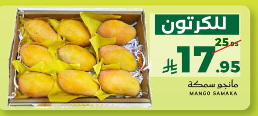 Mango available at ميرا مارت مول in مملكة العربية السعودية, السعودية, سعودية - جدة