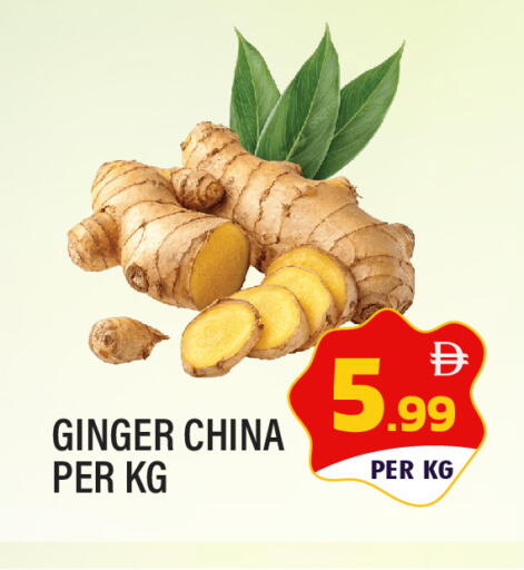 Ginger from China available at دريم لاند in الإمارات العربية المتحدة , الامارات - الشارقة / عجمان
