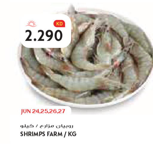 available at Grand Costo in Kuwait - Kuwait City