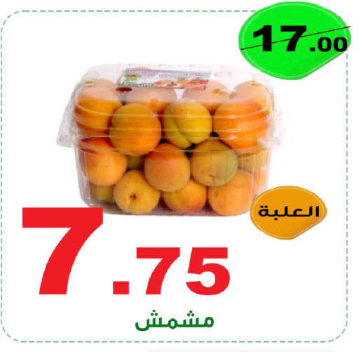 available at المتسوق الذكى in مملكة العربية السعودية, السعودية, سعودية - أبها