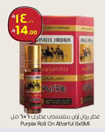 available at City Flower in KSA, Saudi Arabia, Saudi - Al Hasa
