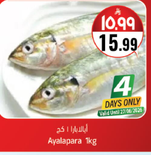 available at City Flower in KSA, Saudi Arabia, Saudi - Jubail