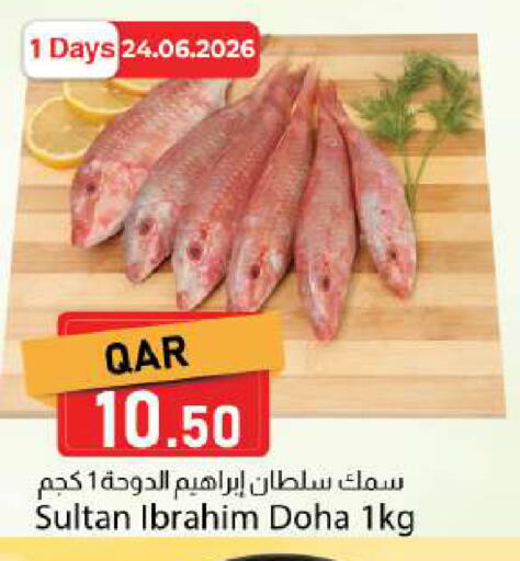 available at دانا ماركت in قطر - الدوحة