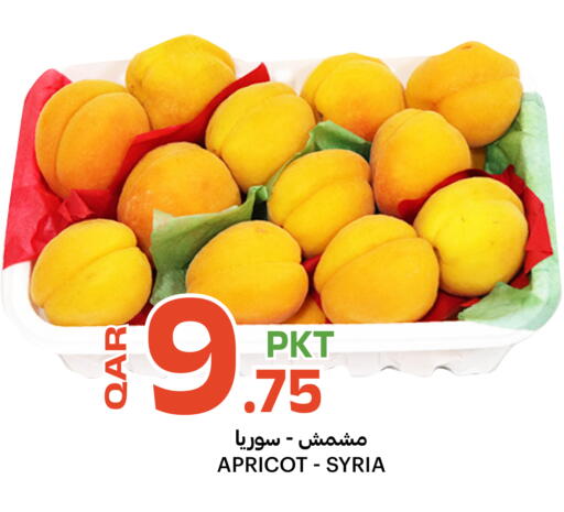 Apricot from Syria available at البلدي اليوم in قطر - الخور