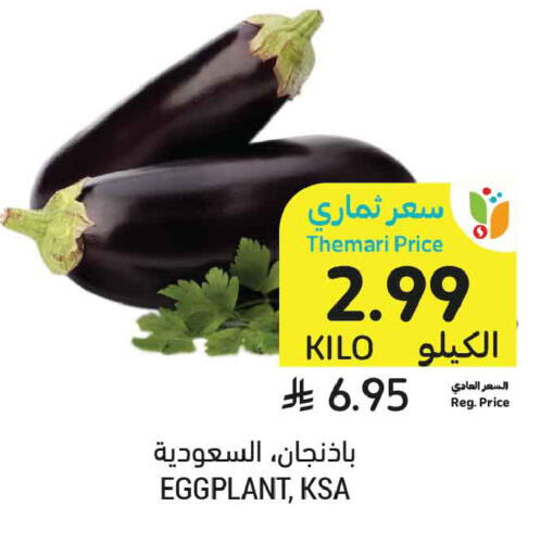 Eggplant available at Tamimi Market in KSA, Saudi Arabia, Saudi - Tabuk
