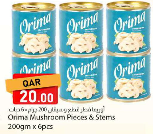 Mushroom available at Dana Market in Qatar - Al Rayyan