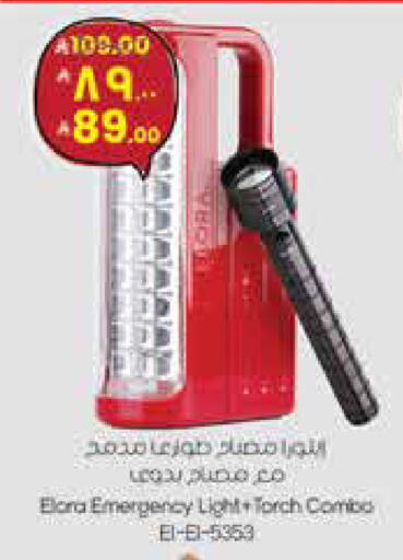 available at City Flower in KSA, Saudi Arabia, Saudi - Sakaka