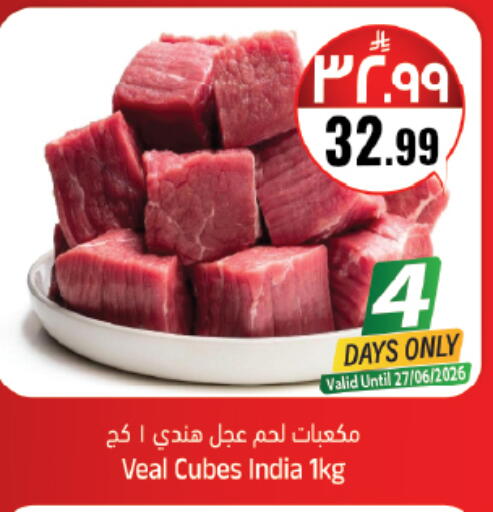 available at City Flower in KSA, Saudi Arabia, Saudi - Jubail
