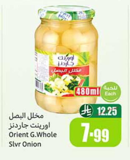 Onion available at Othaim Markets in KSA, Saudi Arabia, Saudi - Hail