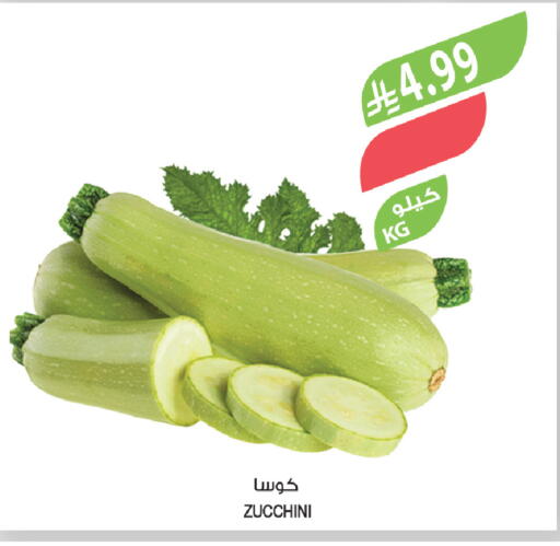 Zucchini available at المزرعة in مملكة العربية السعودية, السعودية, سعودية - أبها