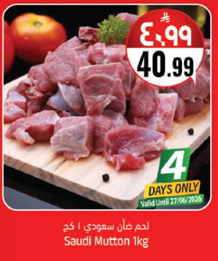 available at ستي فلاور in مملكة العربية السعودية, السعودية, سعودية - حائل‎