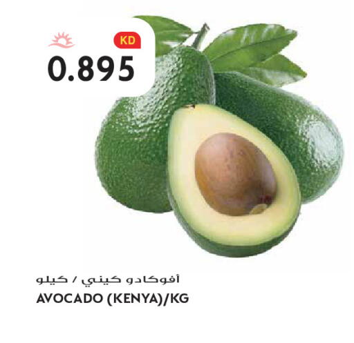 Avocado from Kenya available at Grand Hyper in Kuwait - Kuwait City