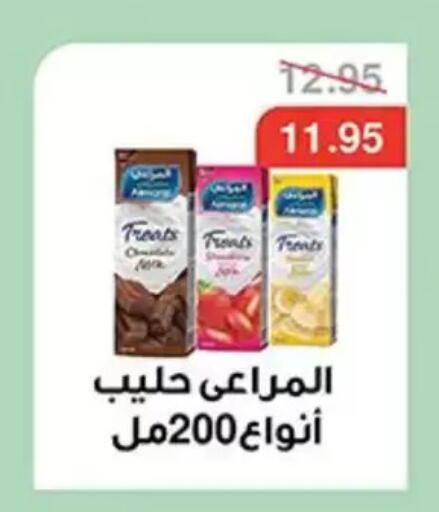 available at Abu Saleh Dairy Market in Egypt - Cairo