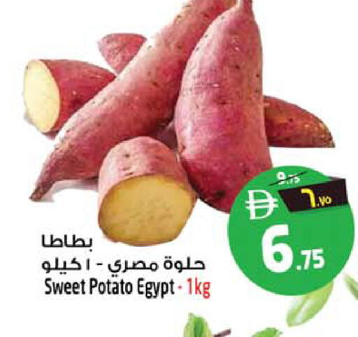 Sweet Potato from Egypt available at Safari Hypermarket  in UAE - Dubai