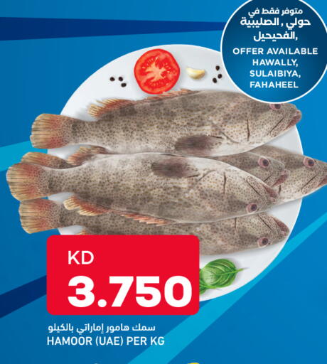 available at Oncost in Kuwait - Kuwait City