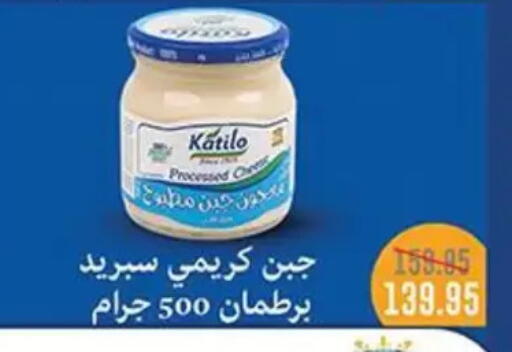available at أبو صالح ألبان ماركت in Egypt - القاهرة