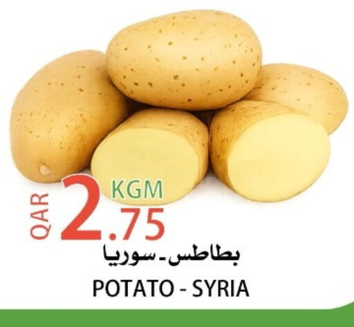 Potato from Syria available at البلدي اليوم in قطر - أم صلال