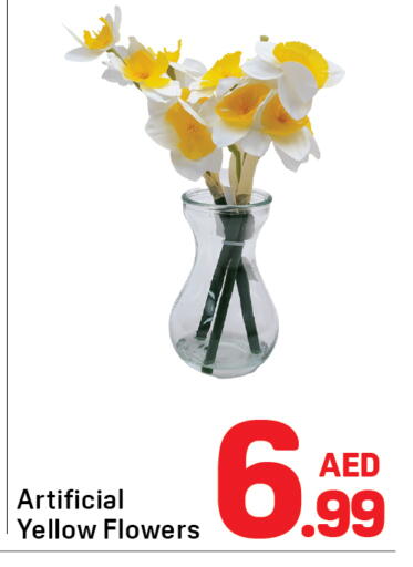 available at دي تو دي in الإمارات العربية المتحدة , الامارات - الشارقة / عجمان