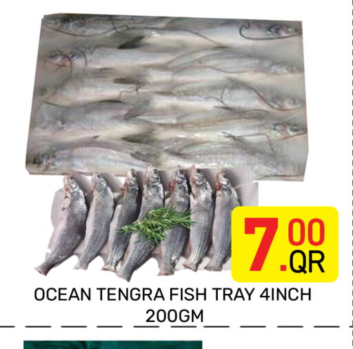 available at مجلس هايبرماركت in قطر - الريان