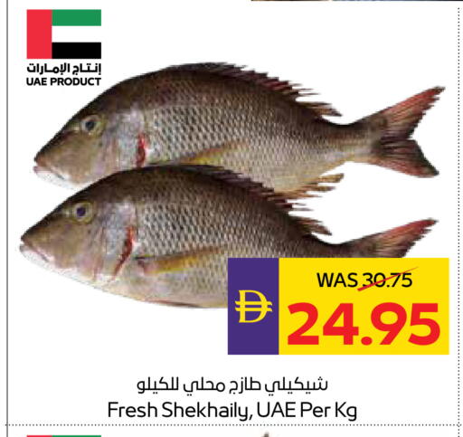 available at أدكووب in الإمارات العربية المتحدة , الامارات - أبو ظبي