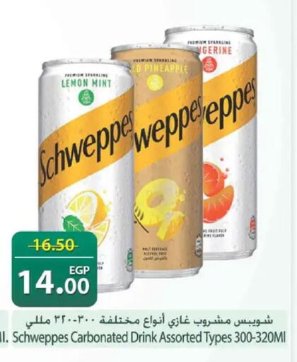 Lemon Pineapple Mint available at Spinneys  in Egypt - Cairo