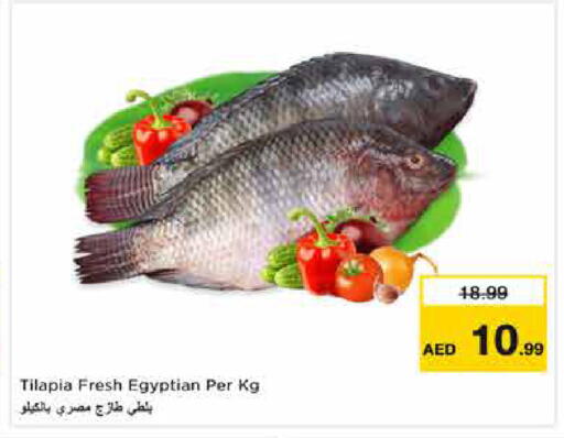 available at نستو هايبرماركت in الإمارات العربية المتحدة , الامارات - أبو ظبي