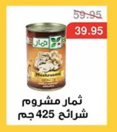 Mushroom available at Abu Saleh Dairy Market in Egypt - Cairo