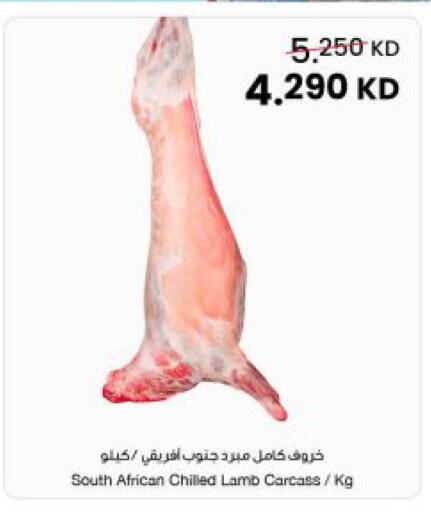 available at The Sultan Center in Kuwait - Ahmadi Governorate