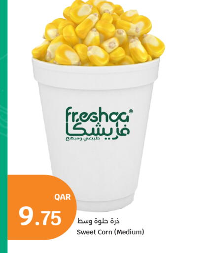 available at سيتي هايبرماركت in قطر - الشمال