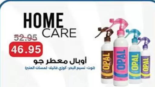 available at Abu Saleh Dairy Market in Egypt - Cairo