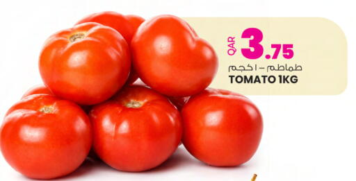 Tomato available at أنصار جاليري in قطر - الدوحة