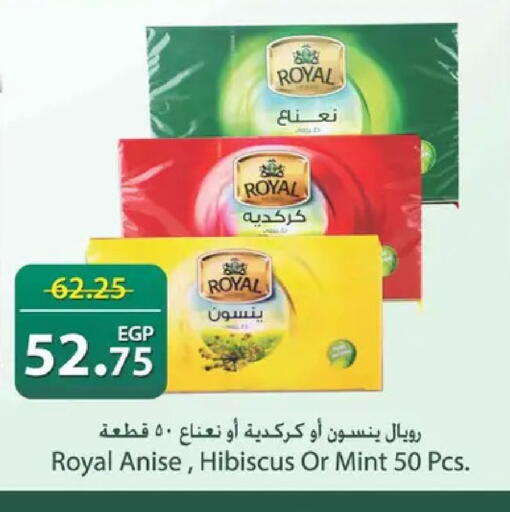 Anise Mint available at Spinneys  in Egypt - Cairo