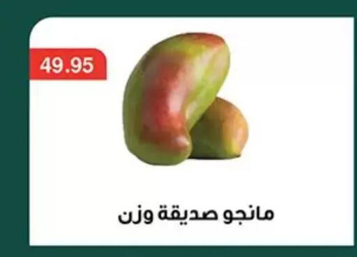 available at أبو صالح ألبان ماركت in Egypt - القاهرة