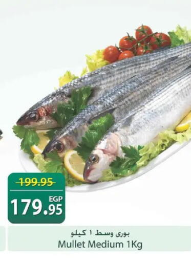 available at Spinneys  in Egypt - Cairo