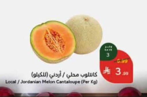 Melon Cantaloupe from Jordan available at Hyper Panda in KSA, Saudi Arabia, Saudi - Al Duwadimi
