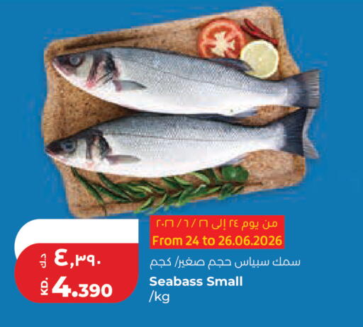 available at Lulu Hypermarket  in Kuwait - Kuwait City