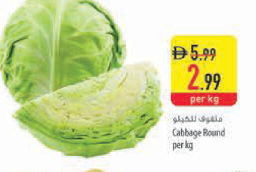 Cabbage available at السفير ماركت in الإمارات العربية المتحدة , الامارات - ٱلْعَيْن‎