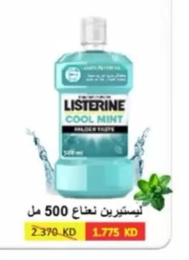 Mint available at Jaber Al-Ahmad Cooperative Society in Kuwait - Kuwait City