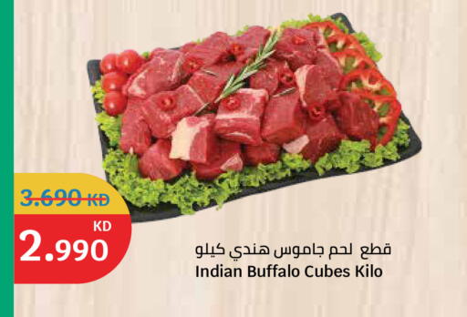 available at سيتي هايبرماركت in الكويت - مدينة الكويت