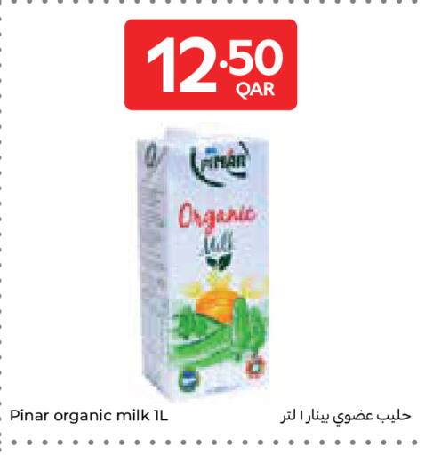 available at كارفور in قطر - الوكرة