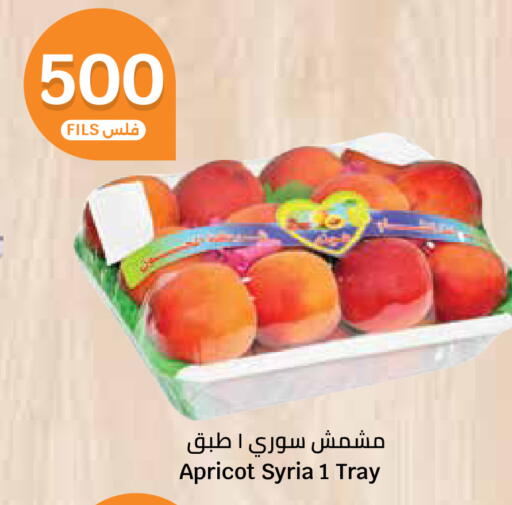 Apricot from Syria available at City Hypermarket in Kuwait - Ahmadi Governorate