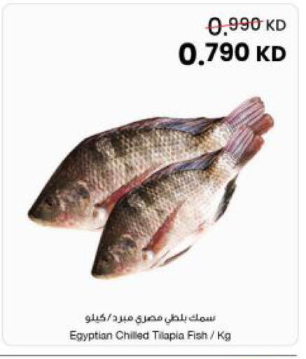 available at The Sultan Center in Kuwait - Kuwait City